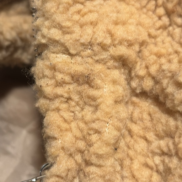 Teddy Bear Coat. - Picture 7 of 7